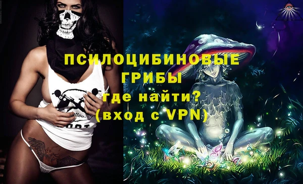 мдма Заводоуковск