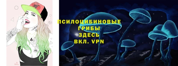 мдма Заводоуковск