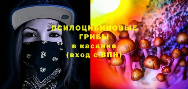 мдма Заводоуковск
