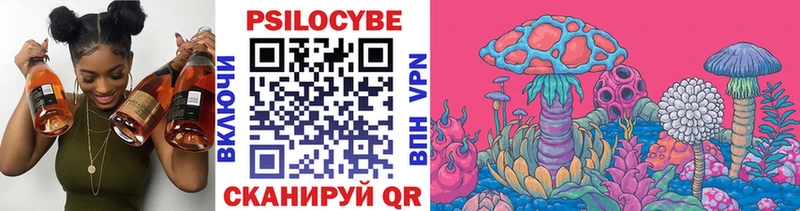 Галлюциногенные грибы Psilocybe  darknet телеграм  Светогорск 