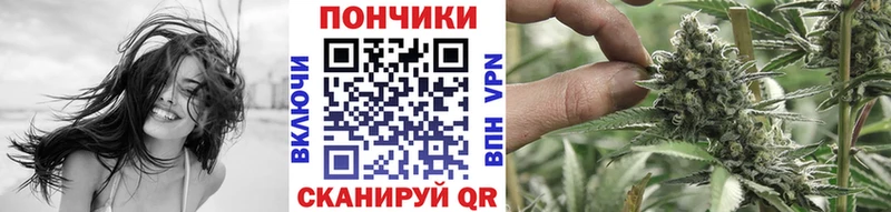 купить наркотик  Светогорск  Конопля марихуана 